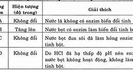 Enzym Trong Nước Bọt