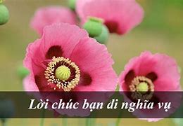 Lời Chúc Lên Đường