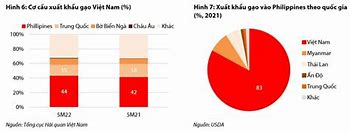 Thị Trường Xuất Khẩu Gạo 2021 Tại Việt Nam 2022