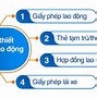 Thực Trạng Người Nước Ngoài Làm Việc Tại Việt Nam